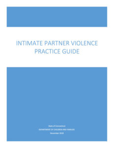 IPV Practice Guide